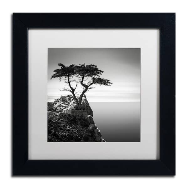 Trademark Fine Art The Lone Cypress by Dave MacVicar Nature Art Print 13 in. x 13 in.