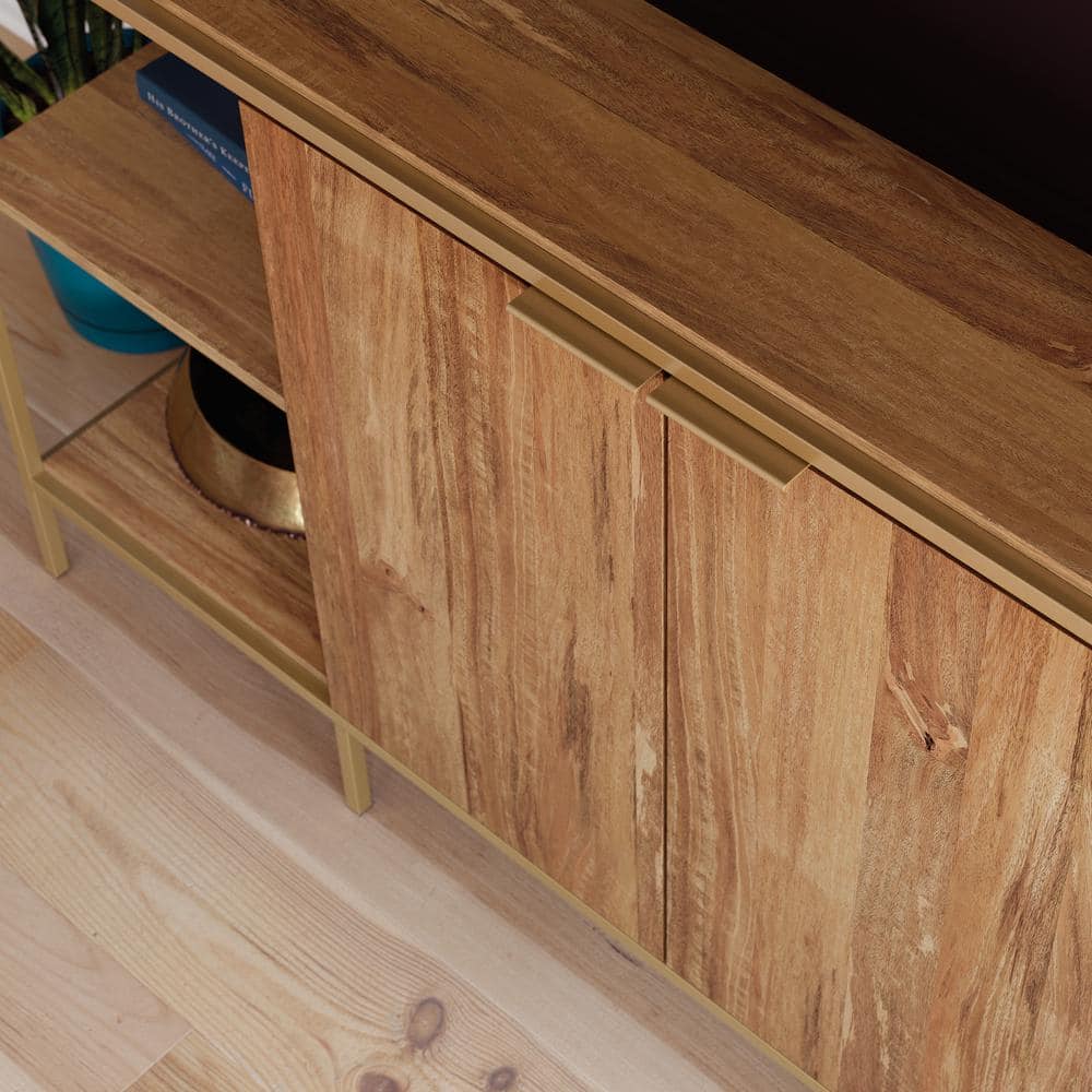Sindoori Mango and Gold Modern TV Stand with Adjustable Shelf