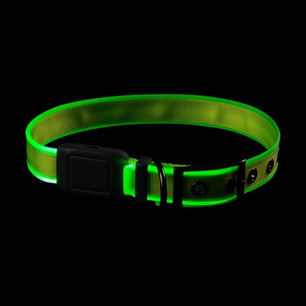 Nite Ize NiteDog - L - Lime/Green Rechargeable LED Collar