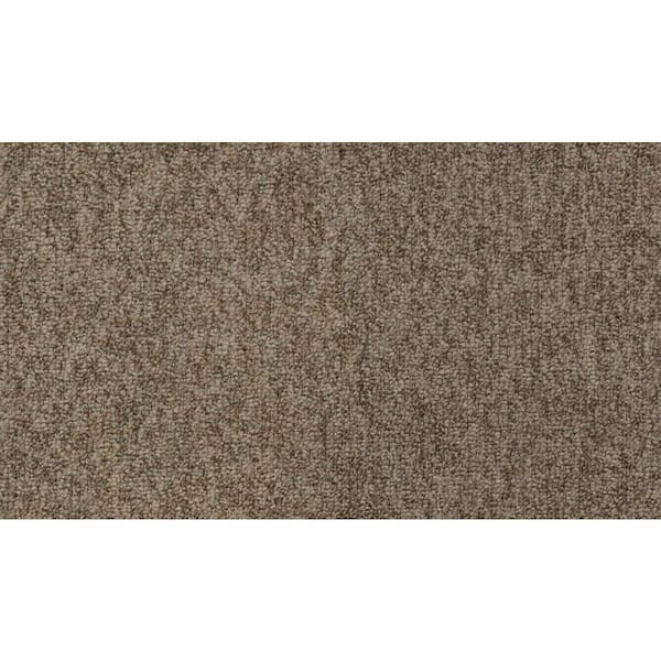 TrafficMaster 8 in. x 8 in. Pattern Loop Carpet Sample - Lanwick - Color Explorer