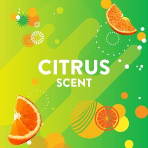 32 fl. oz. Citrus Bathroom Grime Fighter Toilet Bowl Cleaner