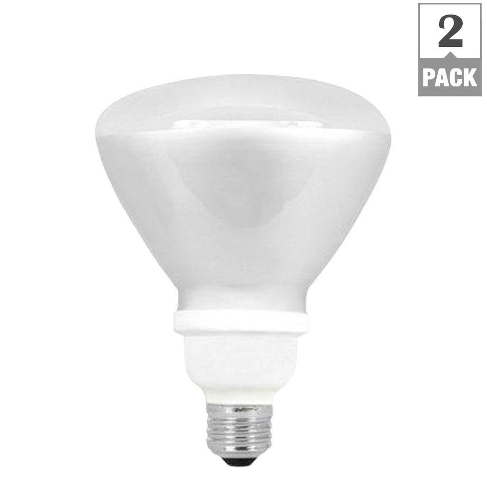 EcoSmart 90W Equivalent Soft White (2700K) R40 CFL Light Bulb (2-Pack ...