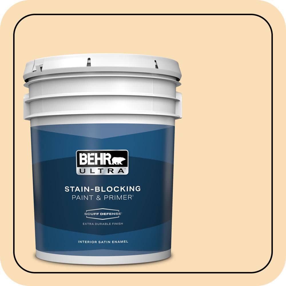 5 gal. #M260-3 Time Out Extra Durable Satin Enamel Interior Paint & Primer price history on PriceWatchPro