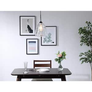 Timeless Home Kaiser 8.2 in. W x 9.4 in. H 1-Light Black Pendant with Clear Glass Shade Glass