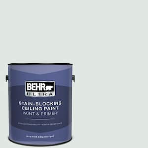 1 gal. #490E-1 Glimmer Ceiling Flat Interior Paint and Primer