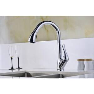 Accent Series Single-Handle Pull-Down Sprayer Kitchen Faucet in Polished Chrome