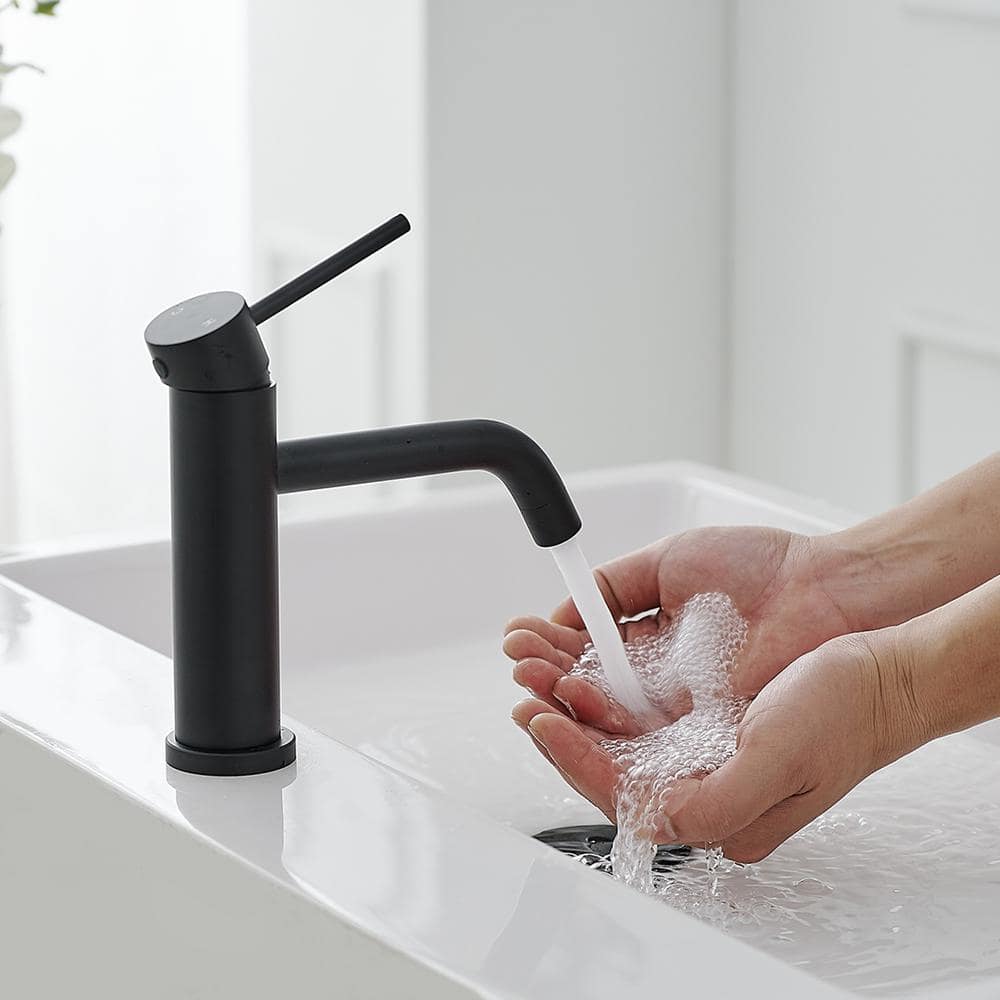 Matte Black Stainless Steel Single Handle Bathroom Faucet
