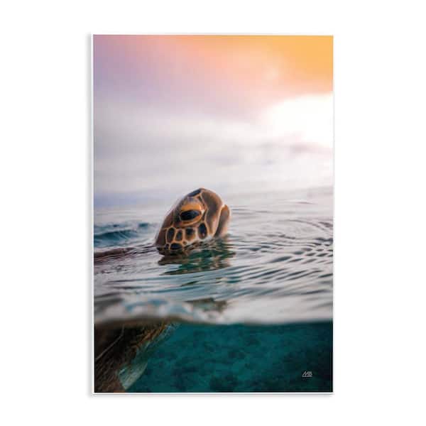 Turtle Swim at Sunrise by Max Blakesberg Studios Unframed Animal Graphic Art Print 19 in. x 13 in.