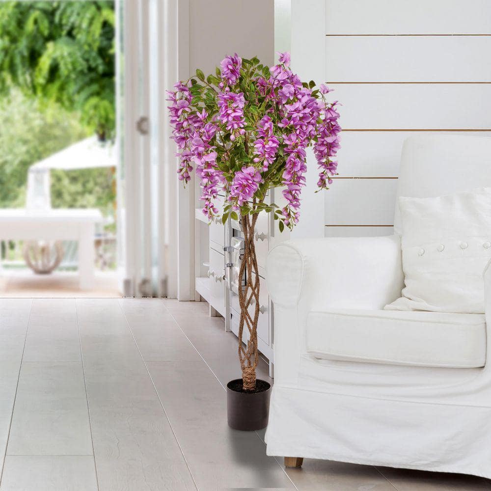 feige als zimmerpflanze Kunstpflanze - Ficus Umbellate - Afrikanische Feige main image 0