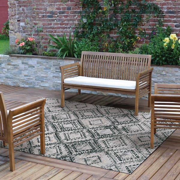 Vintage Black/White 6x8 Area Rug - TPR
