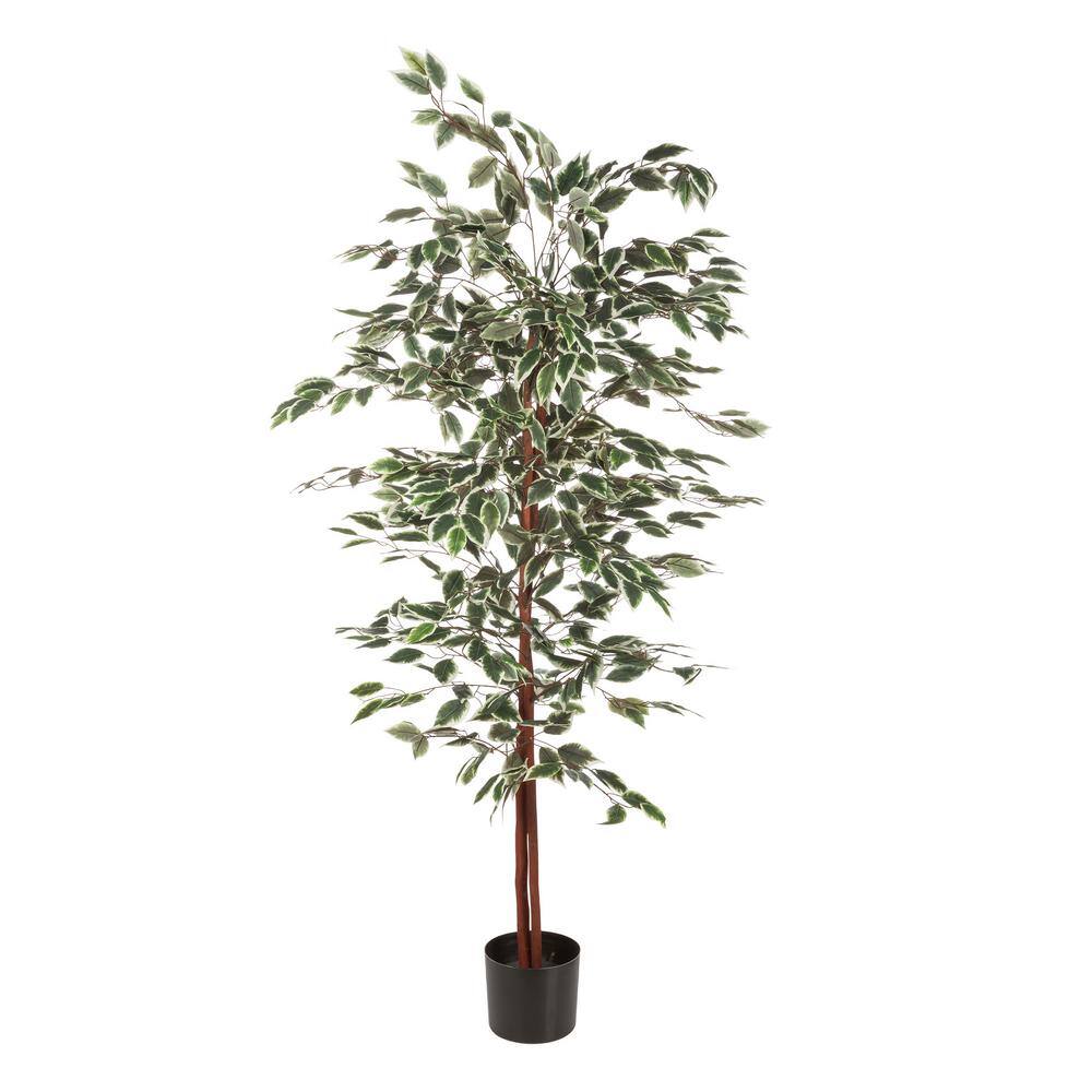 60" Green Plastic Ficus Boxwood Outdoor Floor Plant