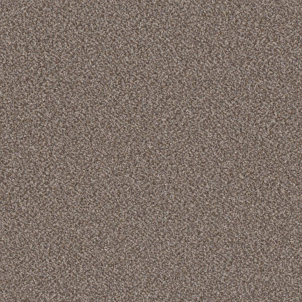 Home Decorators Collection Columbus I - Silverado - Gray 56.2 oz. SD Polyester Texture Carpet - Installation Required