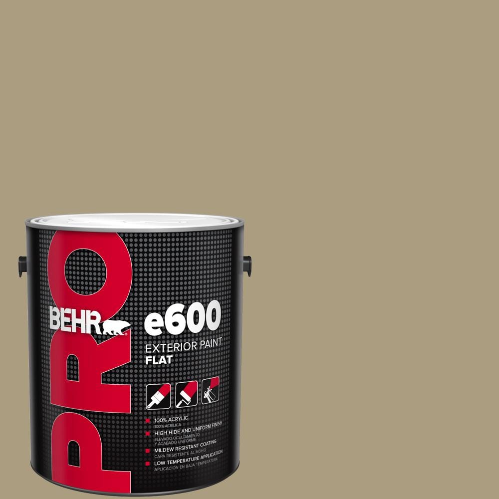 1 gal. #BNC-16 Winter Sage Flat Exterior Paint price history on PriceWatchPro