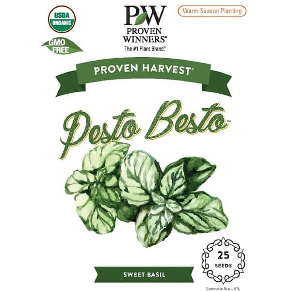 PROVEN WINNERS 25 Count Seeds Besto Pesto Basil Ocimum