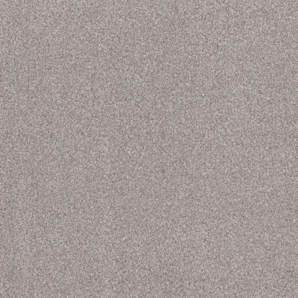 8 in. x 8 in. Texture Carpet Sample - Urban Artifact I - Color Ship Anchor price history on PriceWatchPro