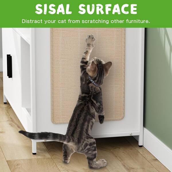 Cat scratches side of litter box sale