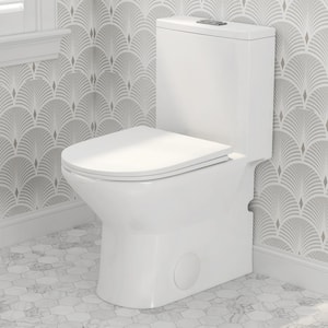 Naples 12 in. Rough-In 1-Piece Toilet 1.1/1.6 GPF Dual Flush Siphon Elongated Toilet in Crisp White