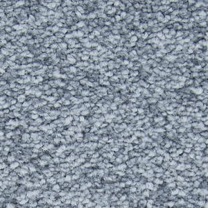 Gentle Peace I  - Olympia - Blue 45 oz. Triexta Texture Installed Carpet