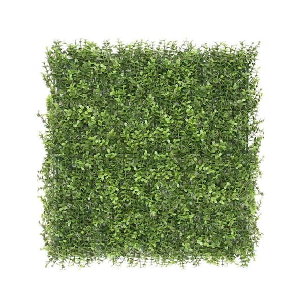 20 in. H x 20 in. W Plastic Artificial Ivy Buxus Olivia Hedge Privacy Garden Fence for Home Backyard Garden, 1-Pieces