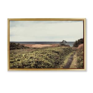 Serene Coastal Pathway by Andy Amos Gold Floater Frame Nature Graphic Art Print 17 in. x 25 in.