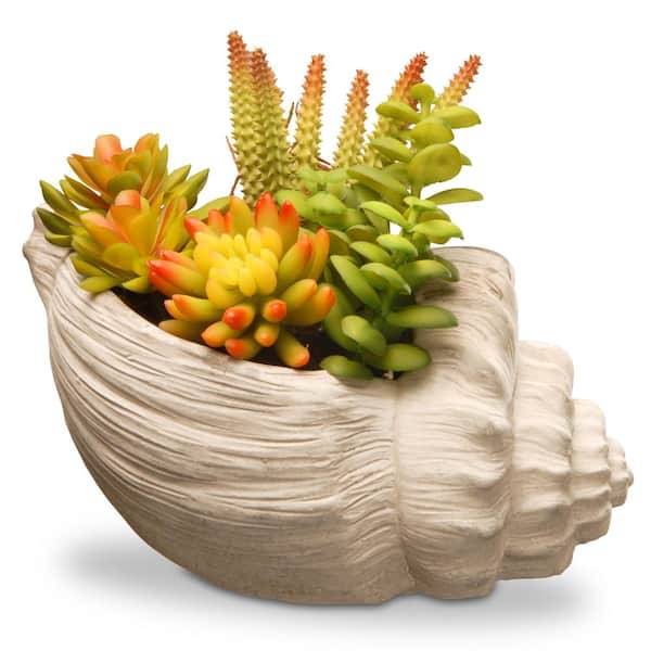 National Tree Company 9.8 in. Artificial Succulent in a Cement Pot
