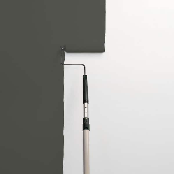 Licorice PPG1009-7 Paint