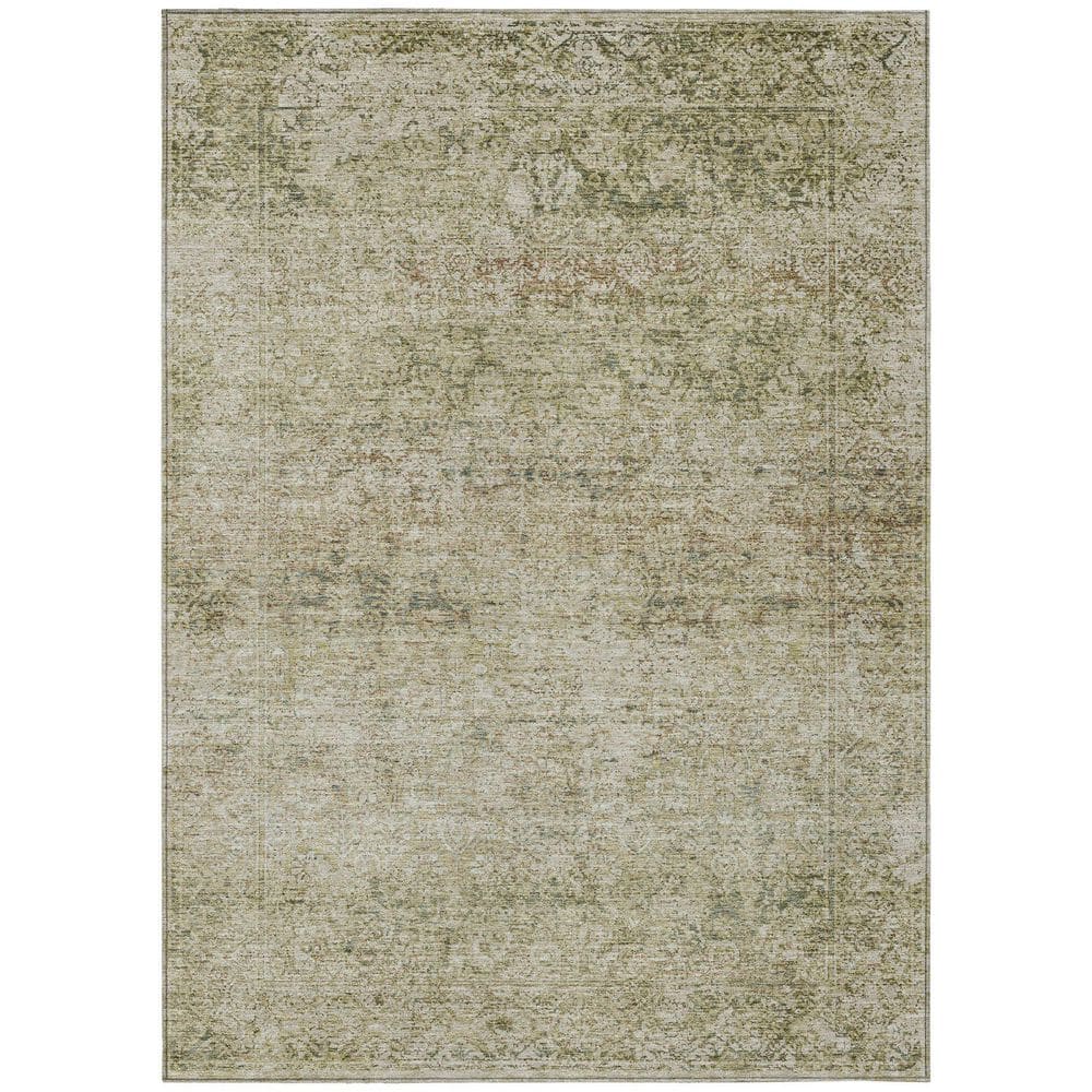 Chantille Machine Washable Indoor/Outdoor Abstract ACN2103 Sage 9 ft. x 12 ft. Area Rug price history on PriceWatchPro