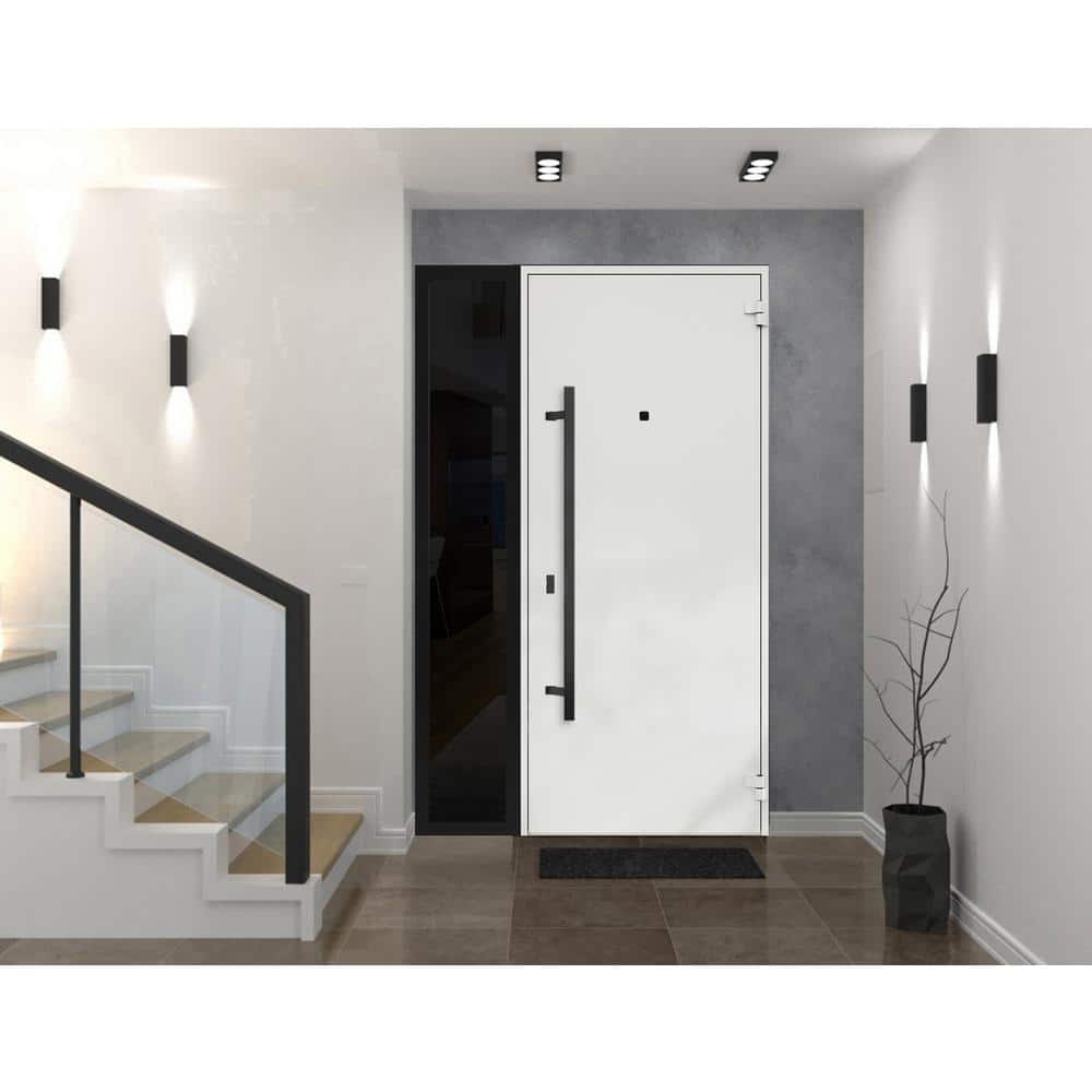 Modern Black Enamel Steel Front Door with Side Window