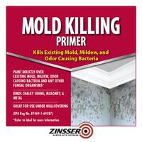 1 gal. Mold Killing Interior/Exterior Primer