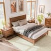 Furniture of America Riverstone 3-Piece Mid Century Modern Walnut Wood Queen Bedroom Set With 2-Nightstands IDF7220WN-Q-2NS