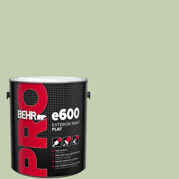 BEHR PRO 1 gal. #M380-3 Growing Season Flat Paint