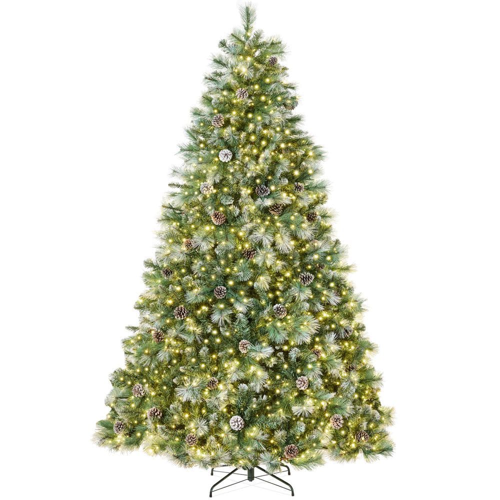 12ft. Green Pine Pre-Lit Frosted Artificial Christmas Tree with 900 LED Color + Clear Lights price history on PriceWatchPro