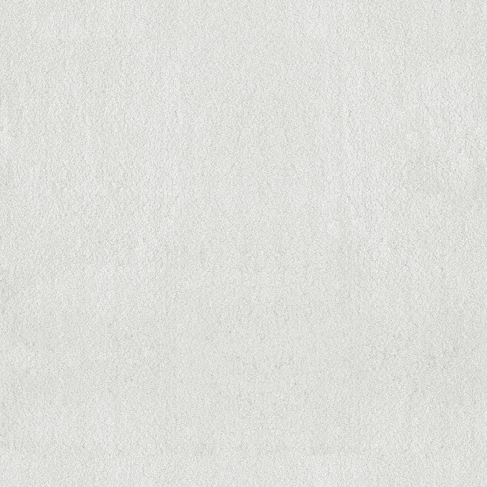 8 in. x 8 in. Texture Carpet Sample - Dreamy Daze II -Color Cozy price history on PriceWatchPro