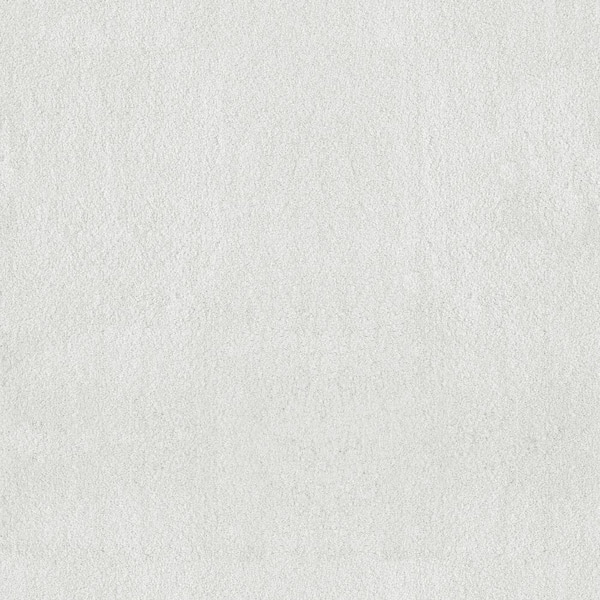 Lifeproof 8 in. x 8 in. Texture Carpet Sample - Dreamy Daze II -Color Cozy