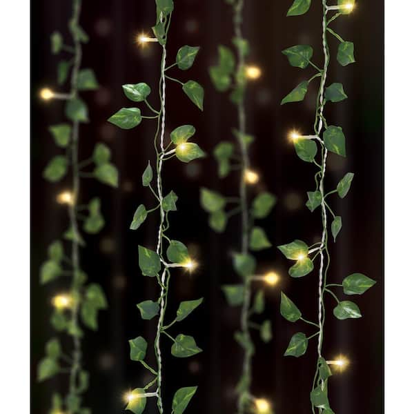 Unbranded 66-Light 3.5 ft. x 5 ft. Indoor Battery Operated Integrated LED Curtain Vine String Light