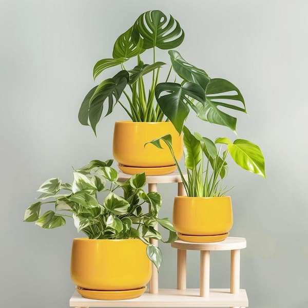 Samll Yellow Ceramic Indoor/Outdoor Planter with Saucer (5.9 in. W