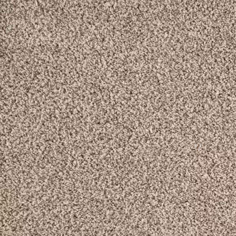 8 in. x 8 in. Texture Carpet Sample-Rockaway I-Color Coastal Dune price history on PriceWatchPro