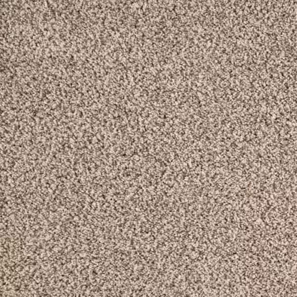 8 in. x 8 in. Texture Carpet Sample-Rockaway I-Color Coastal Dune