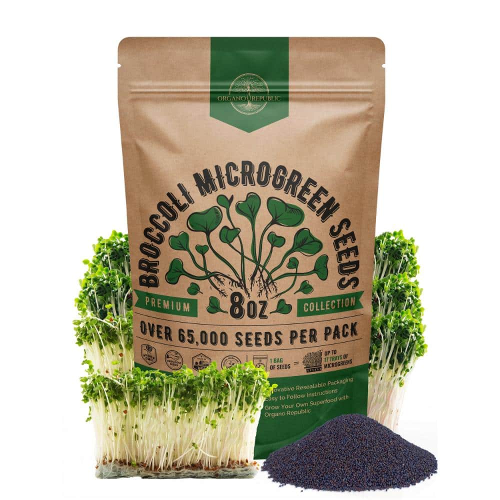Broccoli Sprouting & Microgreens Seeds - Non GMO Heirloom Seeds, Sprouts in Bulk 8 oz Resealable Bag price history on PriceWatchPro