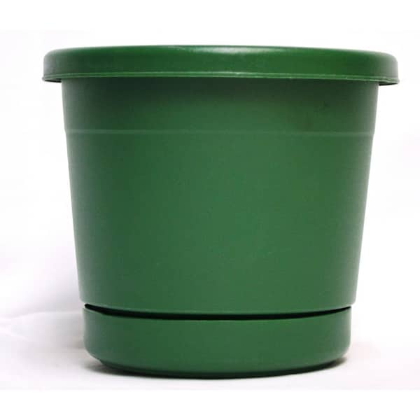 Unbranded 10 in. Rolled Rim Green Plastic Planter