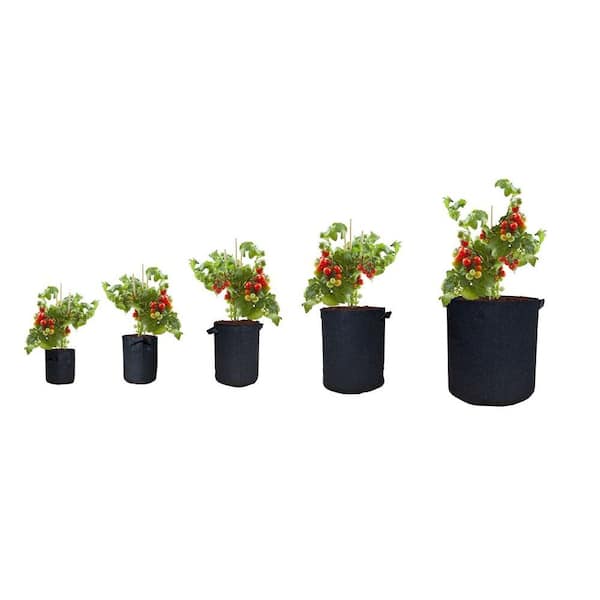 Mars Hydro 5-Pack 5Gallon Fabric Plant Grow Bag Black with Handles