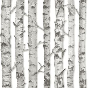 Merman Light Grey Birch Tree Paper Strippable Wallpaper (Covers 56.4 sq. ft.)