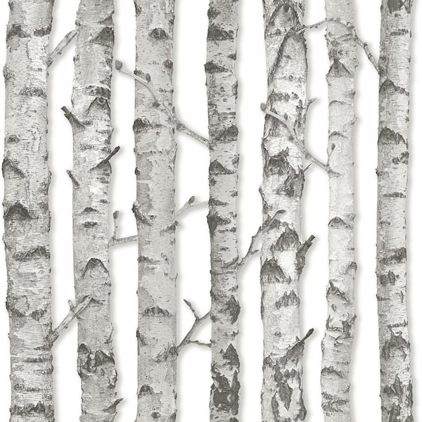 Esta Home Merman Light Grey Birch Tree Light Grey Wallpaper Sample Dd138889sam The Home Depot