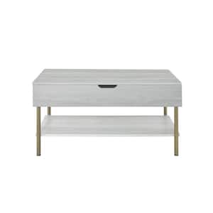 Whitman 36 in. Weathered White Rectangle Cocktail/Coffee Table with Lift Top