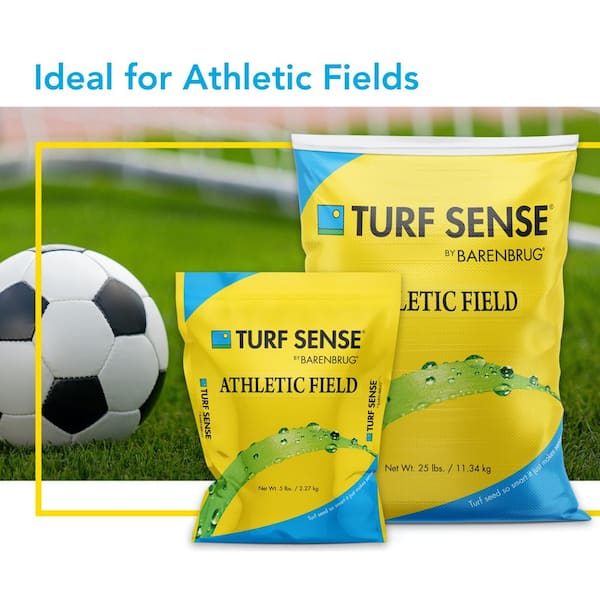 Drought Resistant Hardwearing 25 Kg School Sports and Playing Field Grass Seed 