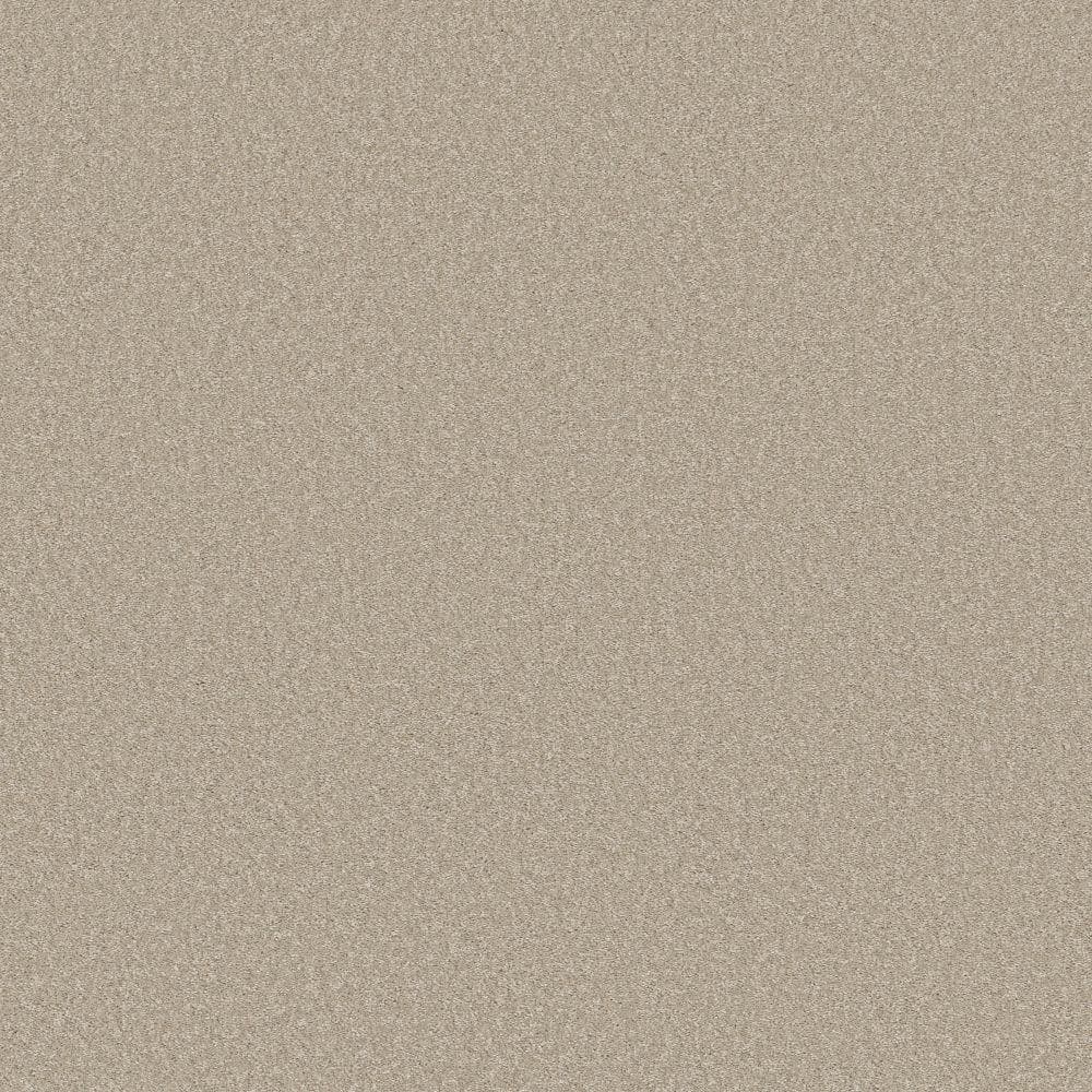 8 in. x 8 in. Texture Carpet Sample - Vacation - Color Sea Pearl price history on PriceWatchPro