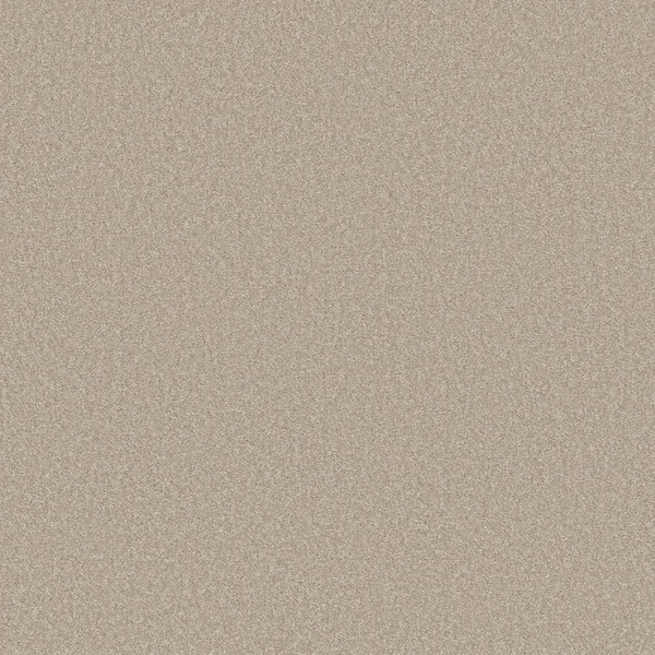 Home Decorators Collection 8 in. x 8 in. Texture Carpet Sample - Vacation - Color Sea Pearl