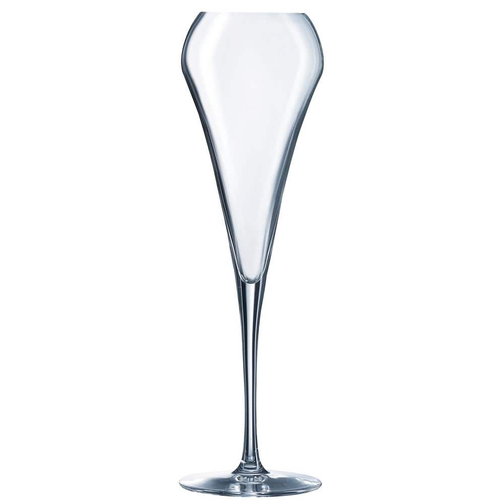 Cyclopen verfrommeld Zonnebrand Chef&Sommelier Open Up 6.75 oz. Effervescent Champagne Flute (Set of 6)  Q1053 - The Home Depot