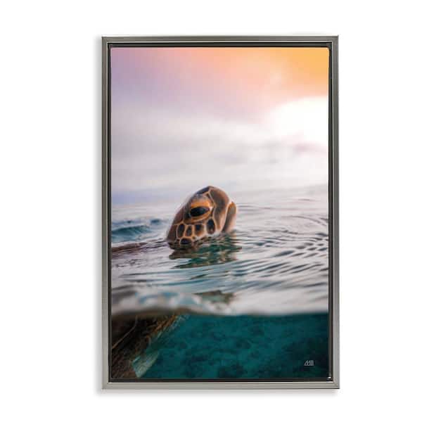 Turtle Swim at Sunrise by Max Blakesberg Studios Gray Floater Frame Animal Graphic Art Print 25 in. x 17 in.