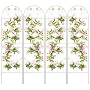 71 in. x 20 in. Metal Garden Trellis for Climbing Plants in White (4-Pack)